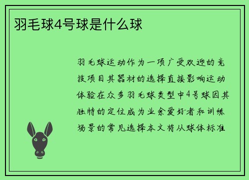羽毛球4号球是什么球