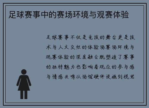 足球赛事中的赛场环境与观赛体验